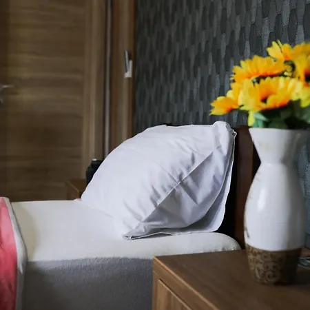 Migro Lux Sobe Апартаменты *