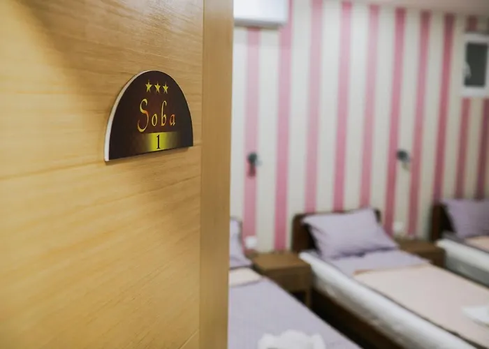 Migro Lux Sobe Apartman *