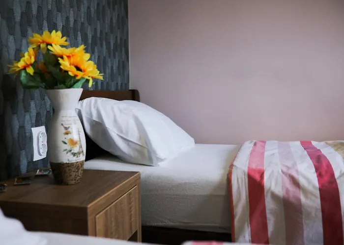 Migro Lux Sobe Apartman Arilje